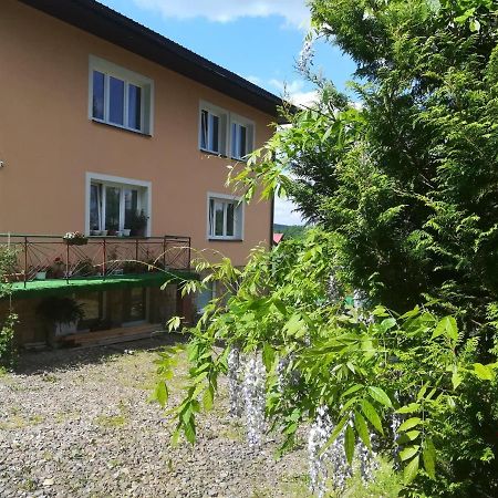 Noclegi Pod Lasem Solina 20 Exterior photo
